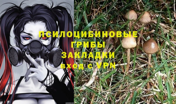 прущие крисы Абдулино