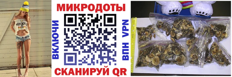 кракен ССЫЛКА  купить  сайты  Ртищево  Псилоцибиновые грибы мицелий 